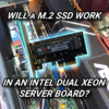 Will a M.2 SSD work on an Intel Dual Xeon Server Board